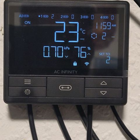 Berry growlog photo: Und schon mal für die neuen Keimlinge beste Startbedingungen ein gestellt