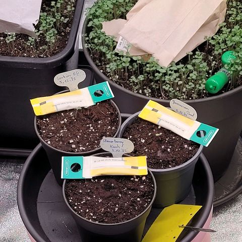 Berry growlog timeline photo