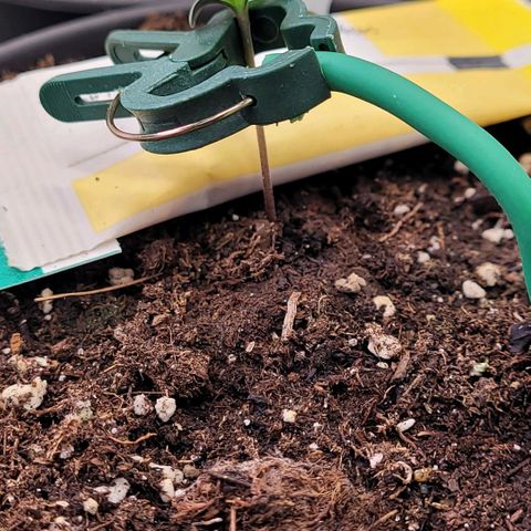 Berry growlog timeline photo