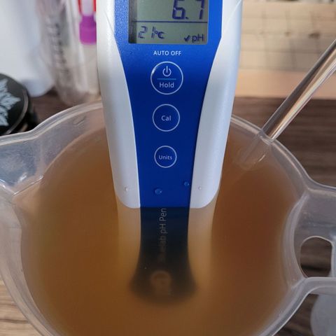 Berry growlog timeline photo