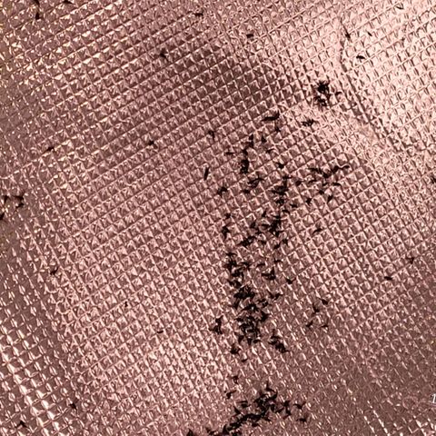 BubbleGum #2 growlog photo: Mücken über Mücken u das so gut wie über Nacht. Das erklärt den Krüppelwuchs zu Beginn. Die BioBizz All Mix war von Anfang an Eier Verseucht und als Larven Fraßen die die Wurzeln an.