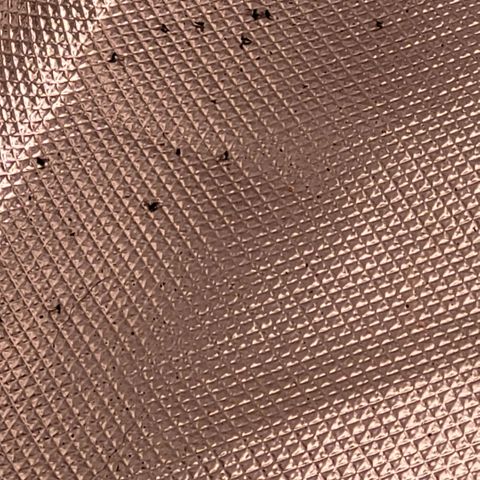 BubbleGum #2 growlog photo: Mücken über Mücken u das so gut wie über Nacht. Das erklärt den Krüppelwuchs zu Beginn. Die BioBizz All Mix war von Anfang an Eier Verseucht und als Larven Fraßen die die Wurzeln an.