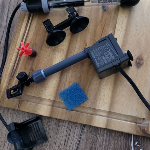 Cookies OG Kloni #1 growlog photo: Zerlegt und gereinigt geht es wieder an den Start