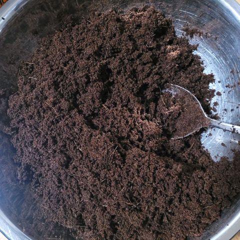 Cookies OG Kloni #1 growlog photo: Cocos 1,17 liter