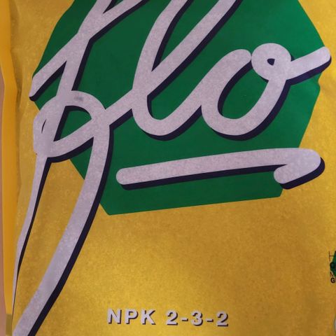 Cookies OG Kloni #1 growlog photo: Zur Aktivierung gesamt 4 l Super Erde auf 2 % mit Flo 80 ml