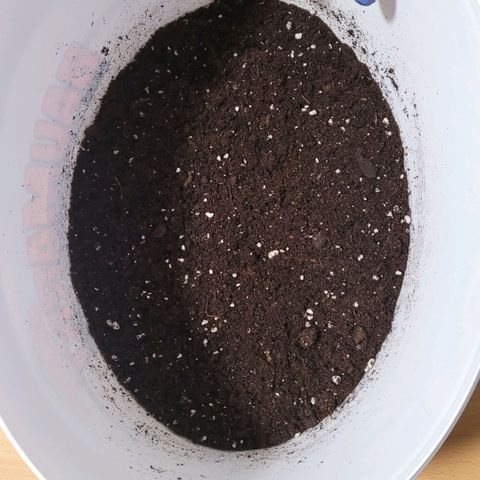 Cookies OG Kloni #1 growlog photo: Nun ist schon mal alles zusammen gemischt und es folgt der Feststoff Dünger 