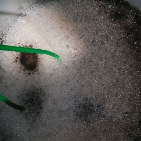 Berry growlog photo: Der Kompost Tee jetzt seit 20 Stunden in Belüftung, sieht es gut aus