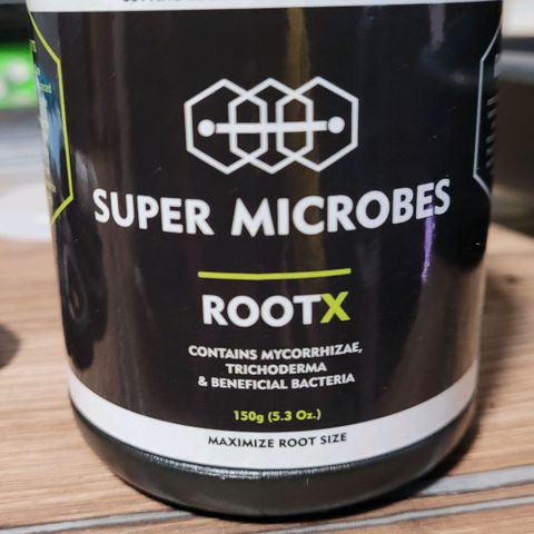 Cookies OG Kloni #1 growlog photo: Der bisher größte Steckling und die Wurzel ordentlich mit Root X bepudert