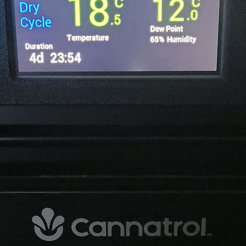 BubbleGum #2 growlog photo: Der Dry Mode ist gestartet mit 5 Tagen u schiebe später oder Morgen Dame 1 noch dazu