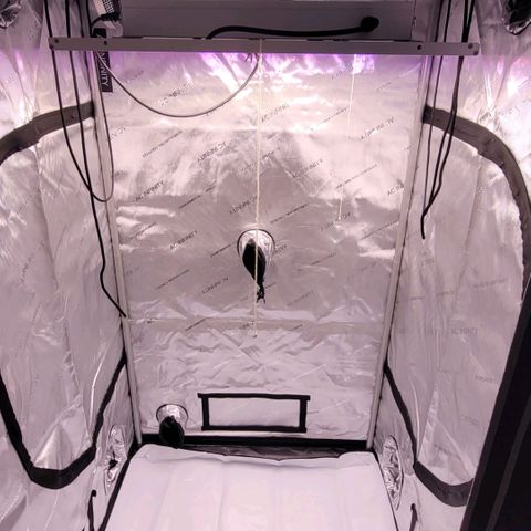 Cookies OG Kloni #1 growlog photo: Ihr neues Zuhause steht und sie kommen jetzt hinein