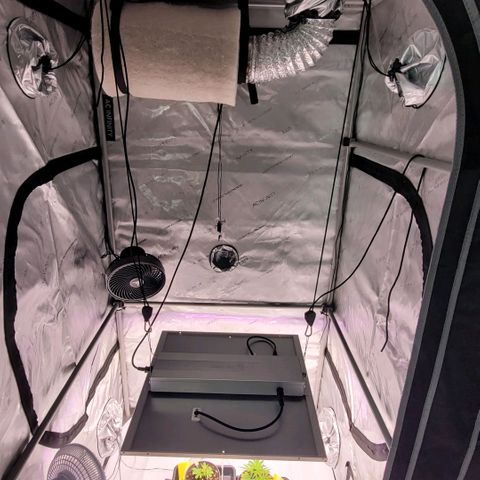 Cookies OG Kloni #1 growlog photo: Heute noch Verstärkung Stangen ein gesetzt und den gewaschen Vorfilter über den AKF gezogen.
Die Lampe auf 38 cm , Klon 2 bei 40 cm Abstand gebracht 