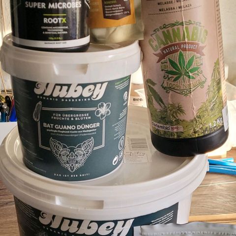 Cookies OG Kloni #1 growlog photo: Die Zutaten des Kompost Tee und diesmal unter anderem Schweizer Glückspilze