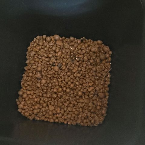 Cookies OG Kloni #1 growlog photo: Schon mal Blähton gewaschen und in den Topfböden verteilt  damit eine 3,5 - 4 cm Drainage Schicht gelegt ist und auch die Drainage Öffnungen vor Schädlinge geschützt, damit von unten kein ran kommen an Erde sein wird. Das ganze mit Pflanzenflies ab gedeckt.