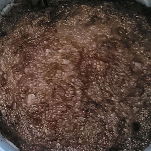 Cookies OG Kloni #1 growlog photo: Kompost Tee Tag 1 der Gärung