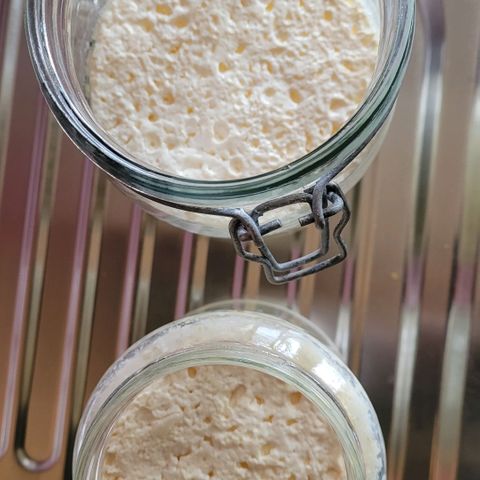 Cookies OG Kloni #1 growlog photo: Obere Schicht ein fester u Schimmelfreier Käse