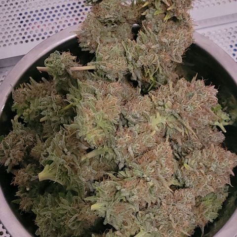 Berry growlog photo: Die erste Schüssel fertig getrimmt