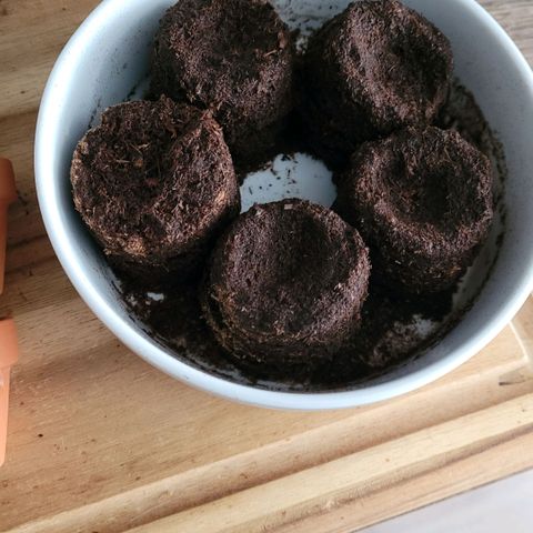 Diesel growlog photo: Die Mini Anzucht Topf Vorbereitung