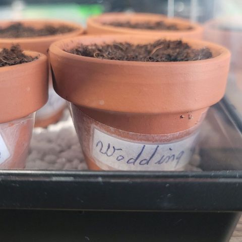 Torti growlog photo: Das war die 6 te und letzte für den folgenden Run