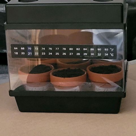 Diesel growlog photo: Nun stehen sie erst mal alle in Umgebung 1. Die 2 Automatik gehen später in Umgebung 2.
Die Anzucht Töpfe u Endtöpfe stehen schon bereit.