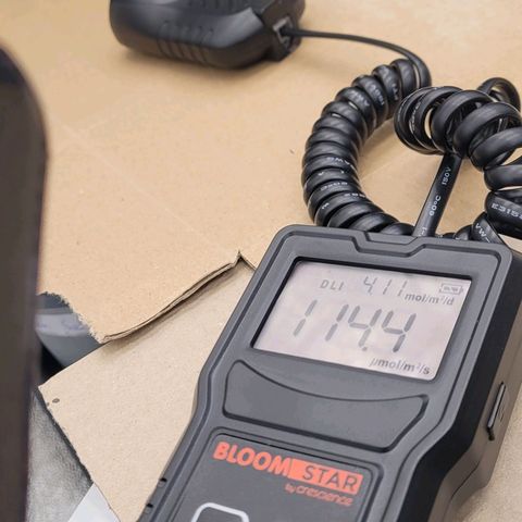 Diesel growlog photo: Mittig links, 3 Anzucht Töpfe bei 114,4 Lichtstärke bei geschlossen Zelttüre
