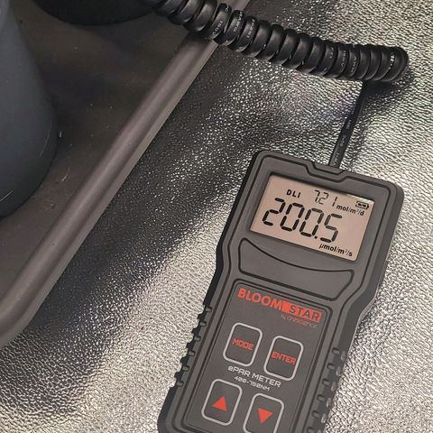 Kalini growlog photo: Mikromol Messung nach der Lampen an Näherung auf 100 cm  Abstand mit 30 % Dimmer.