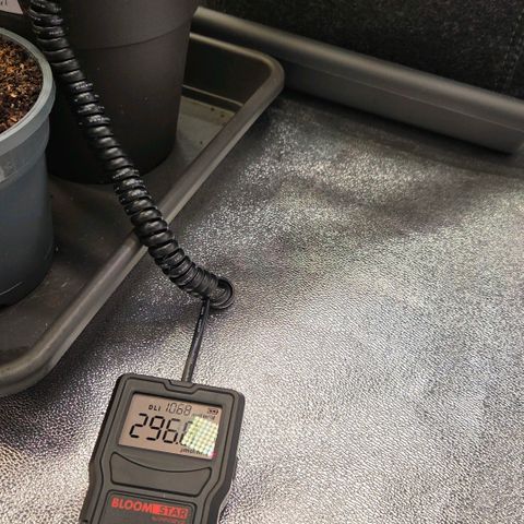 Kalini growlog timeline photo