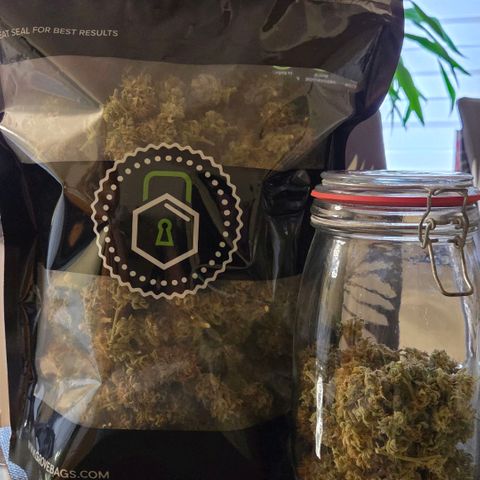 Cookies OG Kloni #1 growlog photo: Das Endergebnis der 2 Klone Cookies OG. Ein 250 gr. Grove Bag voll u ein Rest im Glas. Gesamt 283.50 gr. getrocknete Blüten u ca 40 gr. Trimm in der Tiefkühltruhe
