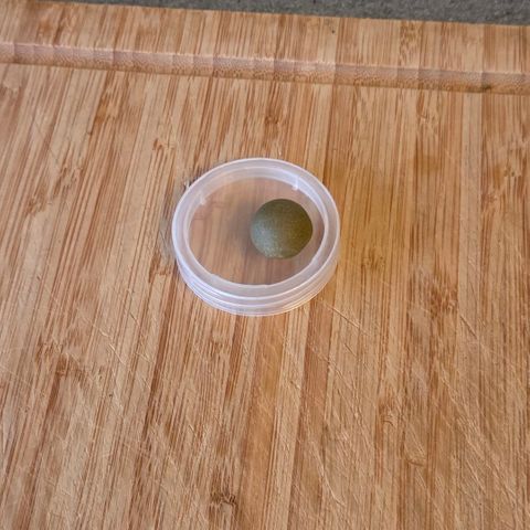 Cookies OG Kloni #1 growlog photo: So , ein schöner Ball der jetzt noch zur weiteren Reifung Vakuumiert für 3-6 Monate bei um 10 grad in Vergessenheit gerät.