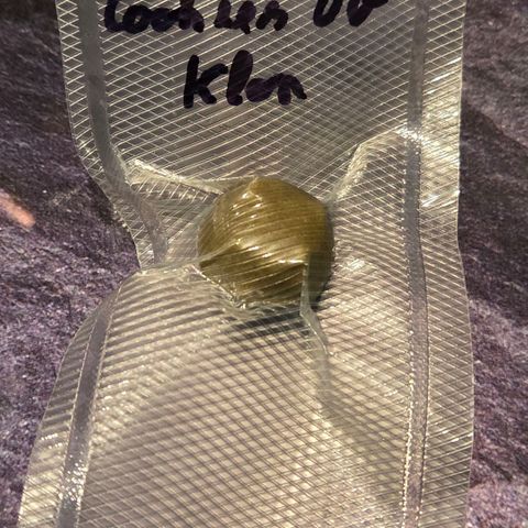 Cookies OG Kloni #1 growlog photo: Da ist sie , hart wie Stein. Und wo ich dran war gab es dazu ein Mini Jamaican und eine kleine Speckschwarte von der Strawberry/ Berry und nun ab ins dunkel Kühl.