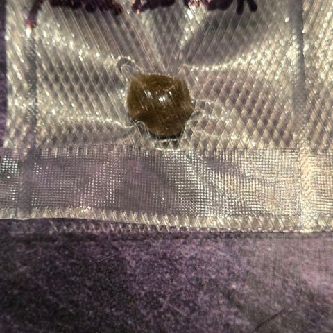 Cookies OG Kloni #1 growlog photo: Da ist sie , hart wie Stein. Und wo ich dran war gab es dazu ein Mini Jamaican und eine kleine Speckschwarte von der Strawberry/ Berry und nun ab ins dunkel Kühl.