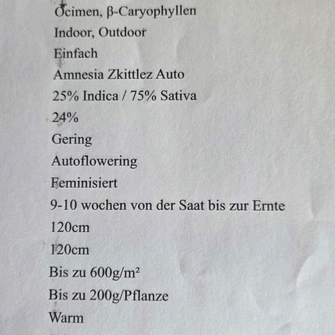 Amnesia S growlog photo: Da sie um 50 cm höher kommen kann als ihre Nachbarin werde ich 90 cm vom Boden hoch, ein Scrog spannen um sie daran auf ziemlich gleicher Höhe halten zu können.