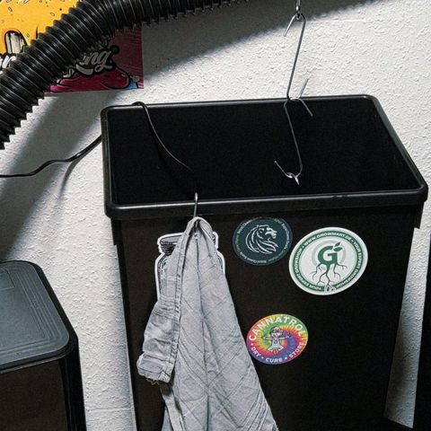 Kalini growlog photo: Heute gab es eine kleine Kontrolle u Änderung im Tank. Die Luftpumpe ab geklemmt u Sprudelstein raus. Eine kleine Umwälzpumpe am Tankboden sorgt jetzt für leichte Wasserbewegung.
Der PH Wert mit Bio Bizz PH - ist sehr Instabil.
Nach gut 24 stunden ist der Ausgang PH wieder erreicht da die Zitronensäure nicht lange hält. Zwar waren es eben dann noch PH 7.2 was noch im Rahmen mit Living Soil, habe aber jetzt mal mit EM aktiv 15 ml, u PH -
den PH wieder auf 6.8 gedrückt. Mit der Hoffnung das EM aktiv besser stabilisiert u ich gänzlich im organischen Bereich bleiben kann. Ein Kühlpad soll helfen die Wassertemperatur unter 23 grad zu halten 