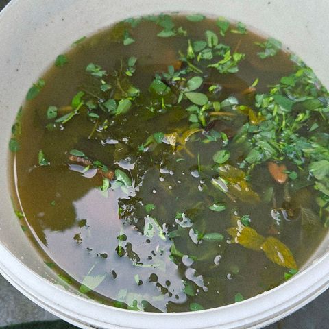 Kalini growlog photo: Heute Tag 3 Brennnessel ferment mit Löwenzahn u Giersch kam heute etwas Bockshornklee dazu als weiterer Stickstoff Lieferant. Hat das leichte Schäumen geendet u riecht schon leicht Säuerlich.
Heute noch mal 15 ml EM aktiv dazu gegeben.