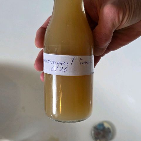 Kalini growlog photo: Heute das Brennnessel, Löwenzahn, Bockshornklee, Hühnermist Pellets, Bananenschalen ferment durch einen Stoffbeutel ab geseit u den Beutel gut aus gepresst. Habe ich das Ferment in 2 Flaschen ab gefühlt u Dunkel , kühl gelagert. Der Rest im Eimer wird nun nach u nach in kleiner Dosis in die Erde gebracht.