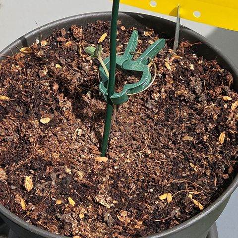 Skitti 1 growlog photo: Heute mal etwas in die Sonne bei schmalen 22 Grad und leichtem Wind.