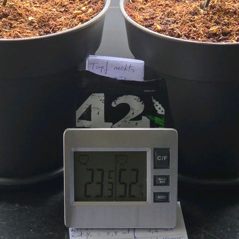 Skitti 1 growlog timeline photo