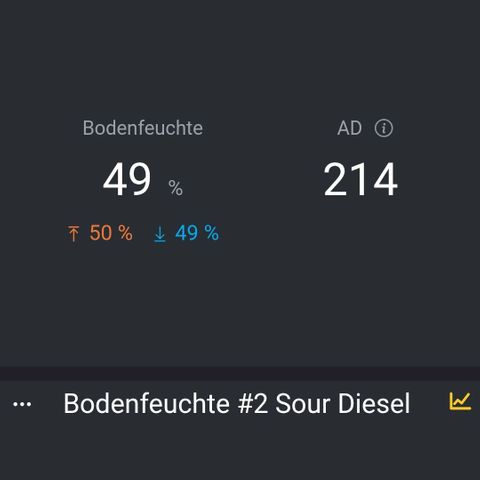Kalini growlog photo: Bodenfeuchte Mexican Sativa u Sour Diesel zum Start in die Dunkelphase.
Später paar Kühlakku in den Wassertank um den gekühlt dann wieder , Hahn auf. Bis vormittag.
So bekomm ich nicht zu hohe LF werte.