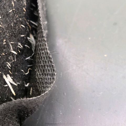 Kalini growlog photo: Wurzeln dehnen sich aus .