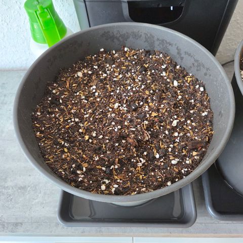 Skitti 1 growlog photo: Schon mal ihren 9 l Topf vorbereitet. Mit Cocos, Pflanzenerde, Kompost u Wurmhumus. 35 gr TNC Mykorrhiza und Bakterien, 2 gr. Trichoderma ein gegossen.
15 gr. Dolomit Kalk, 2,5 gr Magnesium Sulphate, 10 gr Geflügel Dung Pellets, 50 gr Pferdemist Pellets, 75 gr Urgesteinsmehl, 2.5 gr Phosphorgesteinmehl u 1.25 gr Kalium Carbonat.