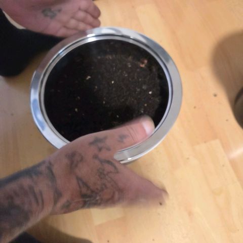 Skitti 1 growlog photo: Die Komposterde 2 x gesiebt ca. 4 l für mit der Pflanzenerde zu mischen