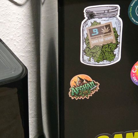Mexican growlog photo: Der Wassertank bis zum Anschlag voll u bekommt ein Wasserbauch. 46 liter