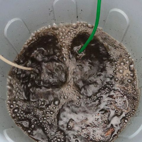 Mexican growlog photo: So eben gestartet !
Aktiv belüfteter Komposttee , Bakterienlastig mit Trichoderma u Mykorrhiza