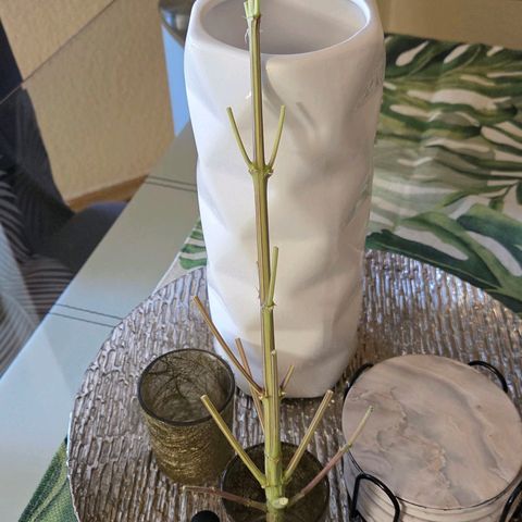 Amnesia S growlog photo: Ein mini Stamm hehe