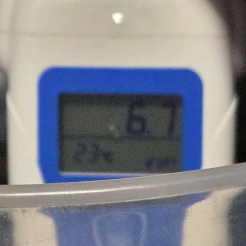 Skitti 1 growlog photo: Ihre Suppe ist an gerührt.
Ein Kühlpad bringt es nun auf zarte 20 grad u der Bio Bizz hat schon auf PH 6.7 gedrückt. 0.5 hol ich noch mit Bio Bizz PH - runter und dann gehts rein mit PH 6.2 / 6.3. On Point