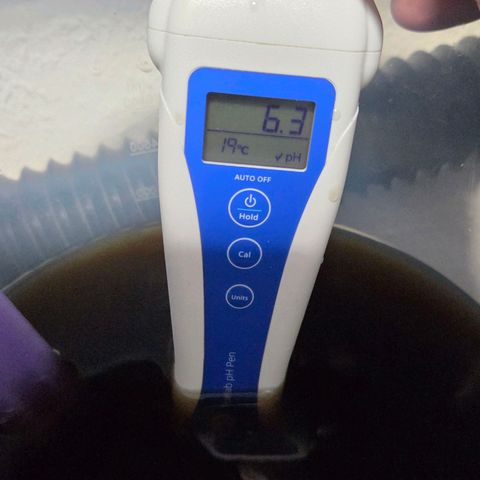 Skitti 1 growlog photo: Derweil bei 19 grad und PH 6.3 ist es Zeit sie zum Mittagstisch zu bitten 