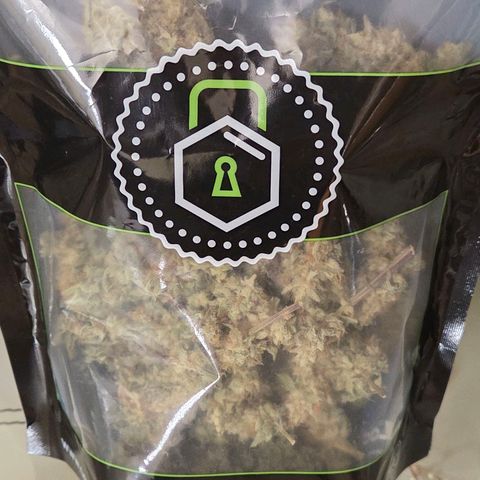 Kalini growlog photo: So kann es weiter Aushärten