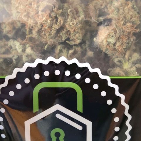 Diesel growlog photo: In der Tüte die Buds aus dem oberen Bereich , mehr sedierend u im Glas aus dem unteren , milchig Bereich.