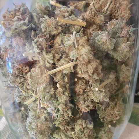 Diesel growlog photo: In der Tüte die Buds aus dem oberen Bereich , mehr sedierend u im Glas aus dem unteren , milchig Bereich.
