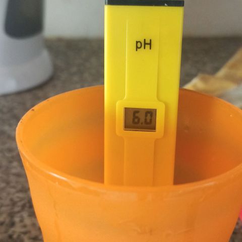 Sweet ZZ growlog photo: Iniciação da introdução dos nutrientes.
Bio-grow 1ml/L 
pH desejado: 5.5/6.5
pH obtido: 6.0