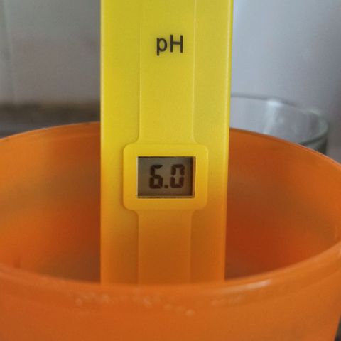 Sweet ZZ growlog photo: pH da mistura do bio-grow em 1L de água utilizado na rega.